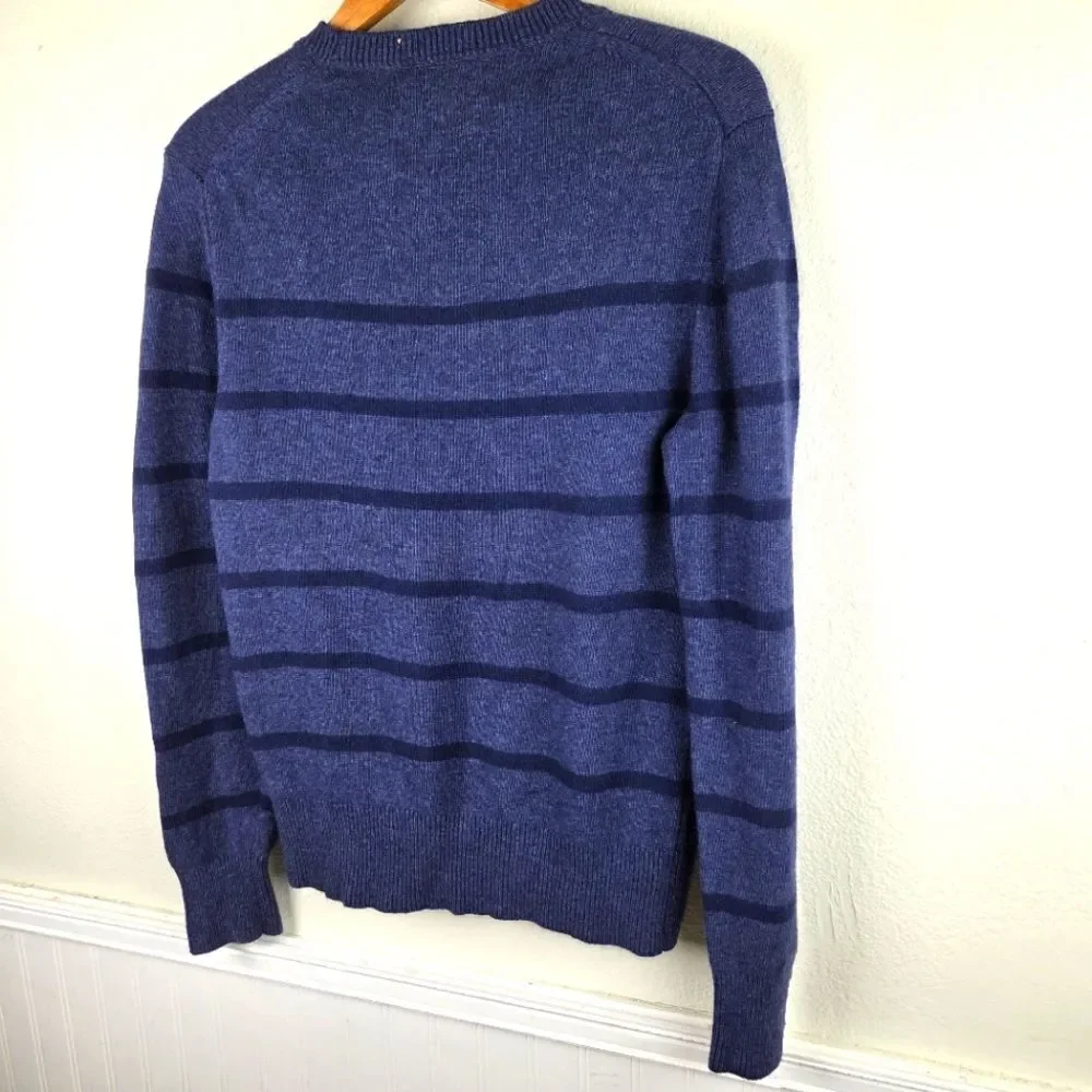 Men's Banana Republuc Blue Striped Fine Italian Merino Wool Pullover Sweater MED